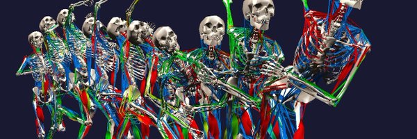 bob_biomech Profile Banner