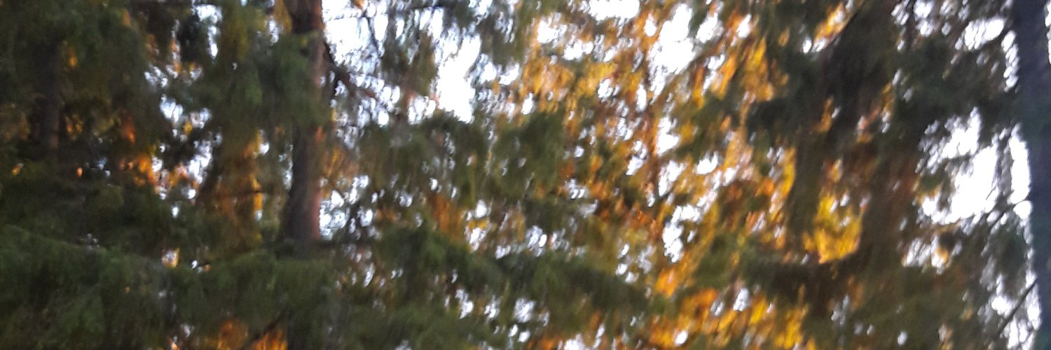 vuokkovirkki's profile banner image