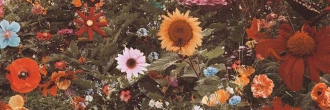 cotiigarcia's profile banner image