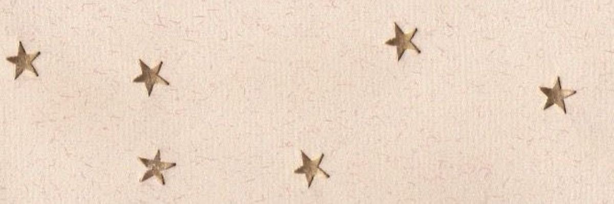 Lily 🤠's banner
