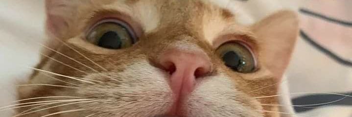wen_sats's profile banner image