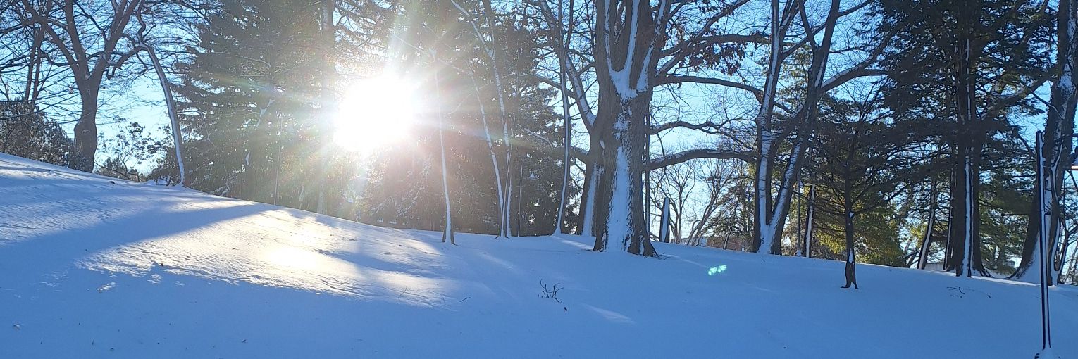 84197276 banner