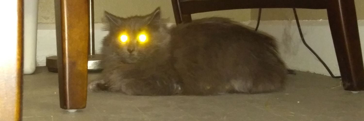 Michael Hawkes 🇺🇦 ✊ banner