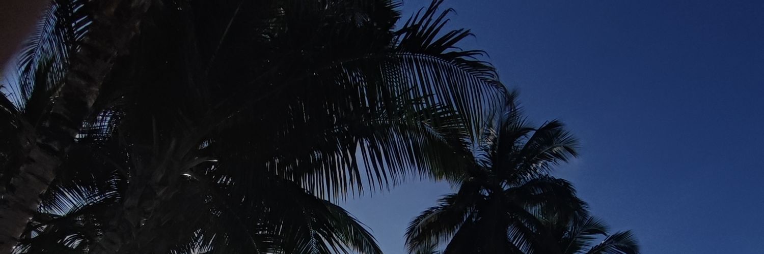 AdrianSanchez_S's profile banner image