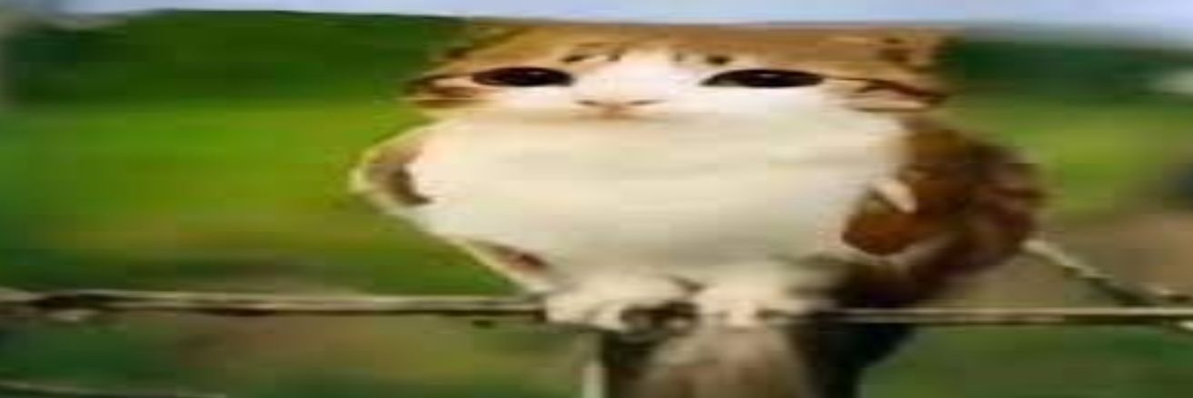 RetroM #TeamAra banner