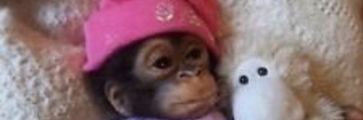 ☀️🌸🇲🇦 banner