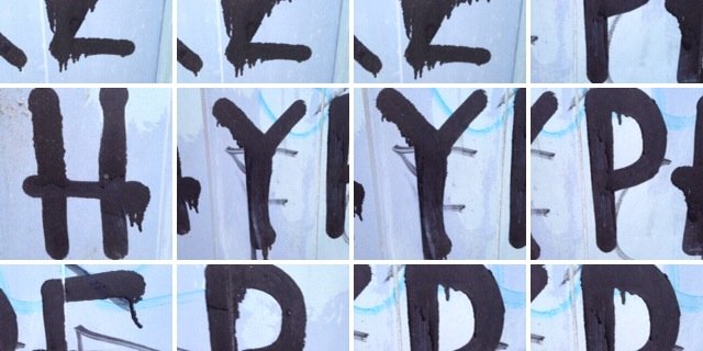 paco savio banner
