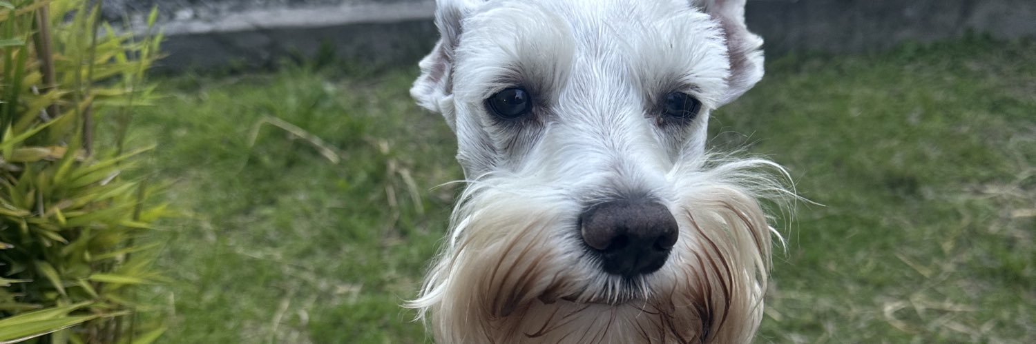 miviky_7's profile banner image