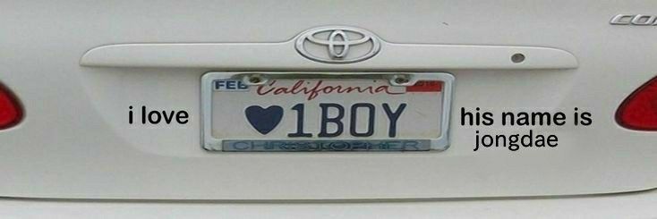 Beatriz Bosta banner