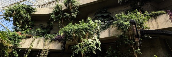 _lrlna Profile Banner