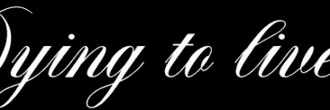 ﹫maya banner