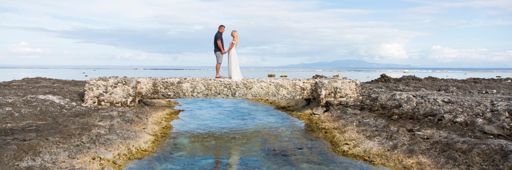 Jessica Tara Trout banner