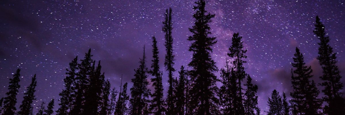 downanddemi's profile banner image