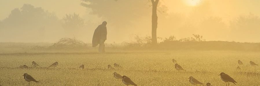 ch_00786's profile banner image