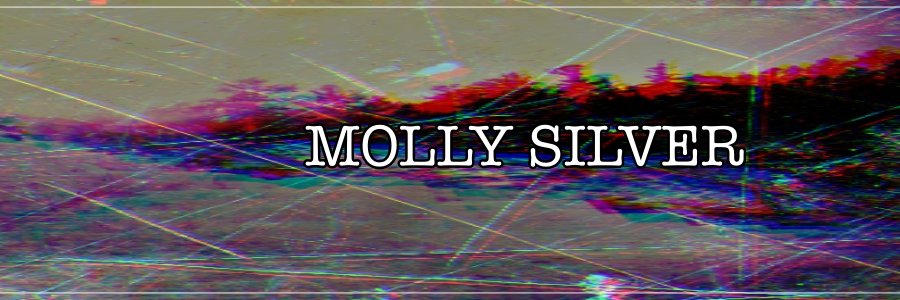 MOLLY SILVER banner