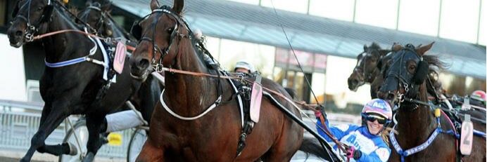 nathalie blom banner