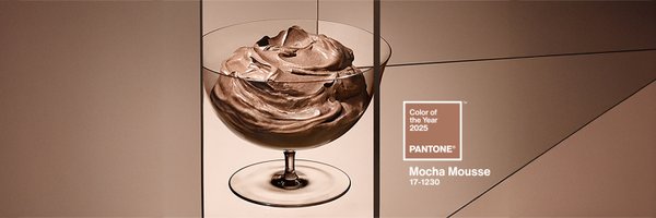 pantone Profile Banner