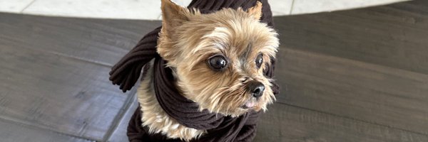 ccyummies Profile Banner