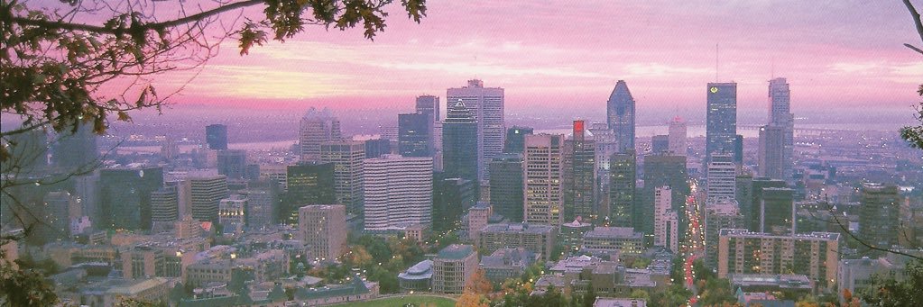 luigiantolini_'s profile banner image