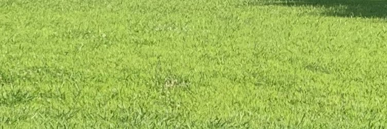 RecoIsBlessed's profile banner image