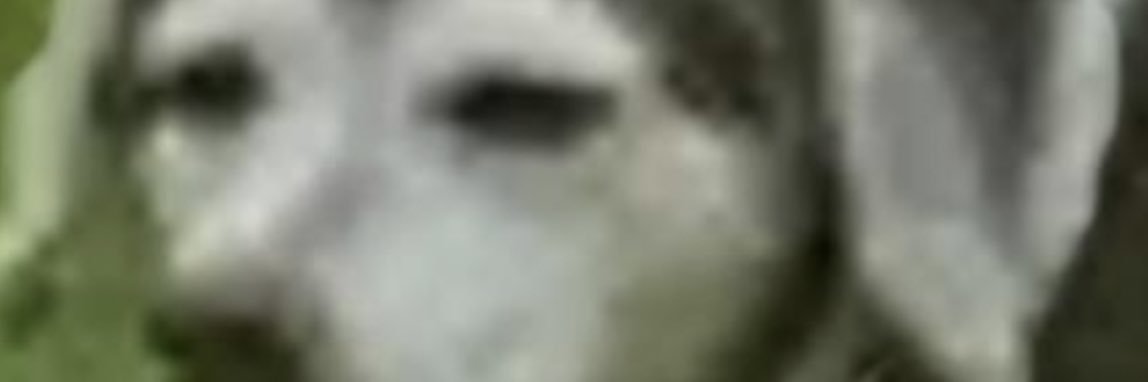 __Vroom_'s profile banner image