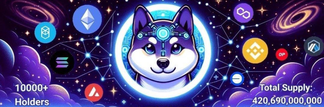 💎 X10000 💎 AnyInu 🌟 banner