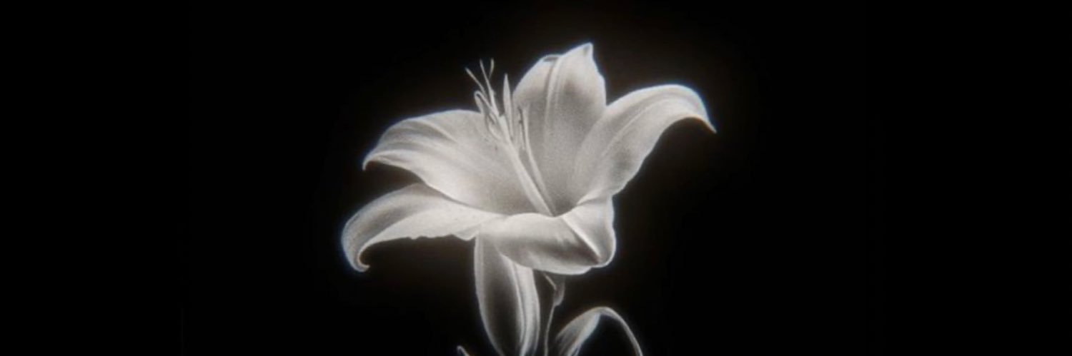 𝓕𝓤𝓚𝓐 banner