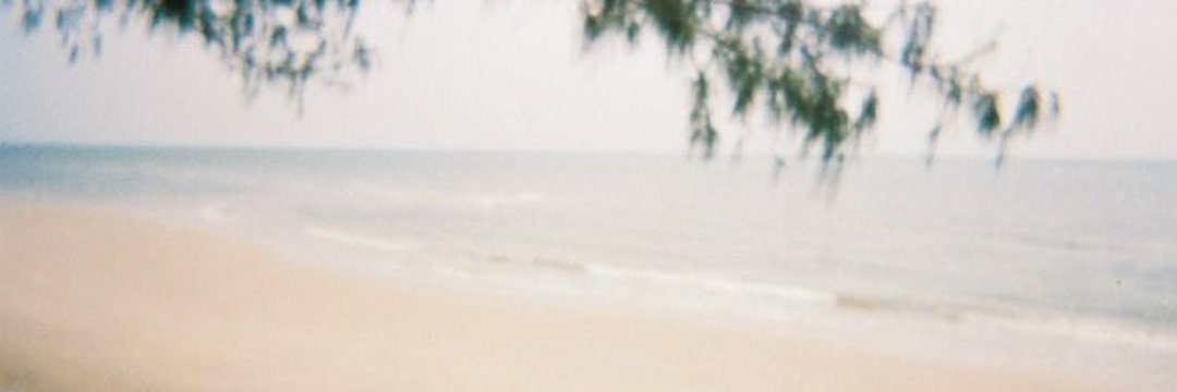 beanie banner