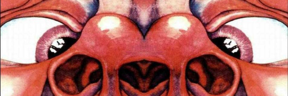 双份奶油碧根果 banner