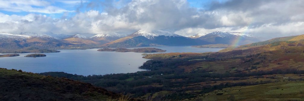 Simon Babayan banner