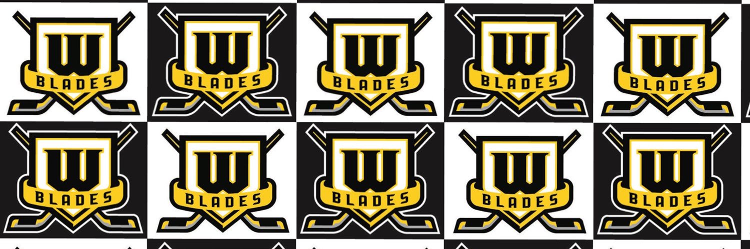 Worcester Blades banner