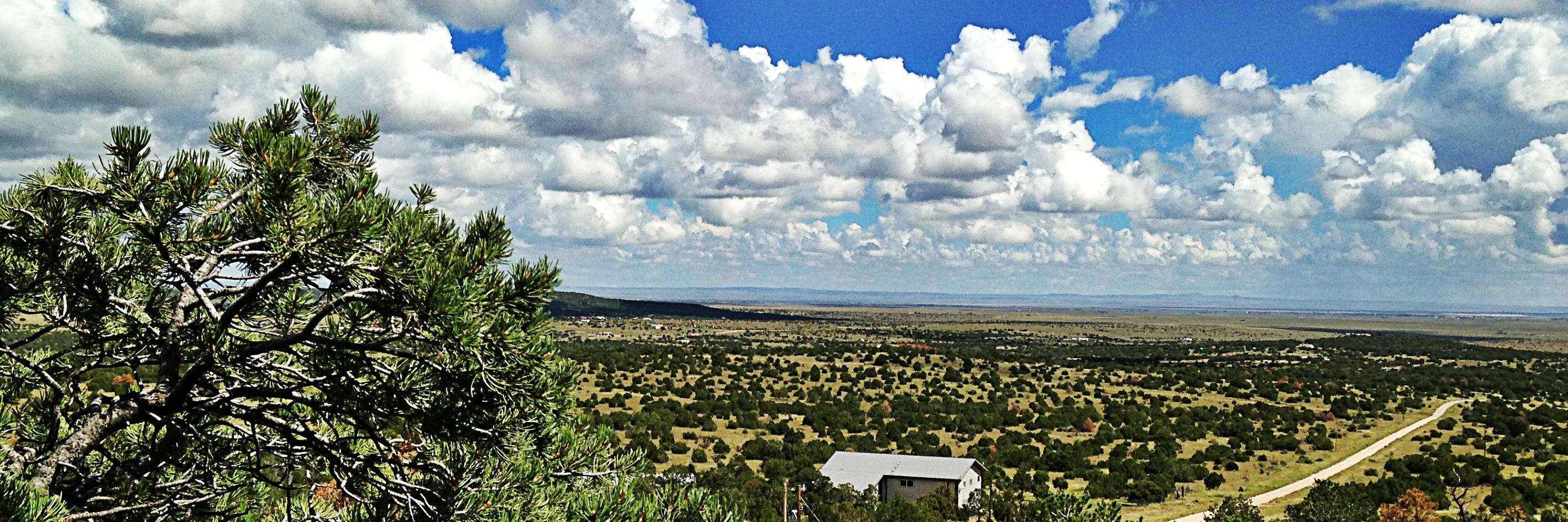 realguygemmer's profile banner image