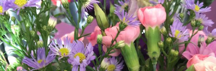 _nicoleallen's profile banner image