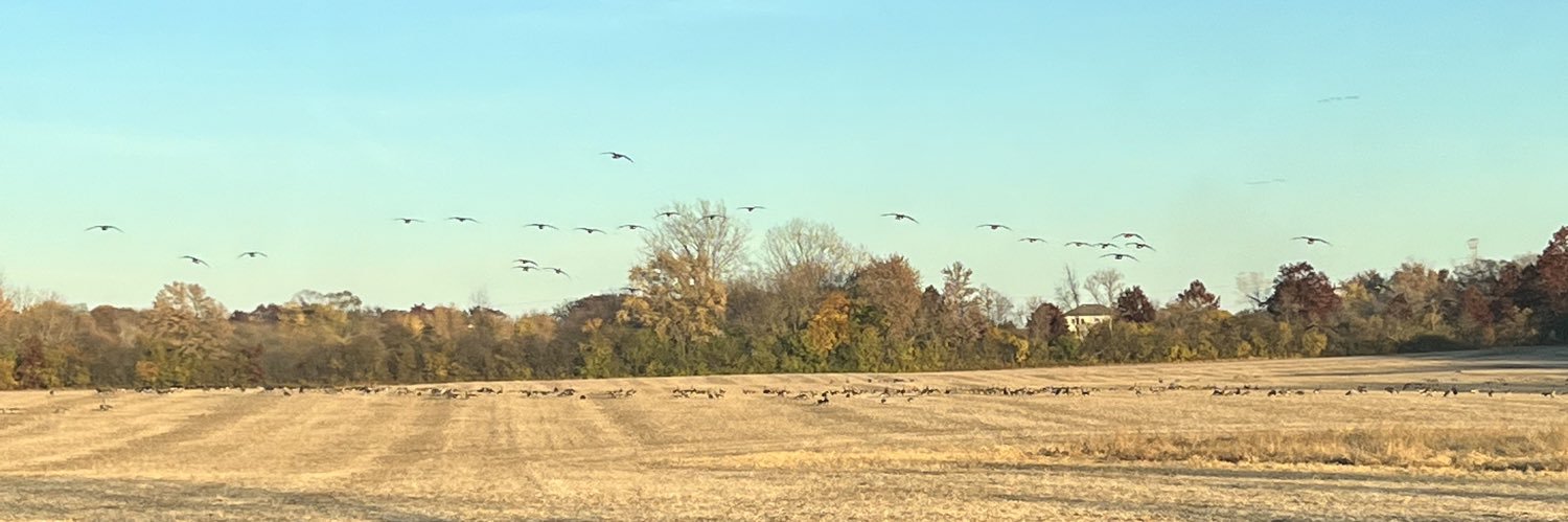 They Call me the Snowman, cooooomooooon! banner