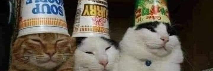 Randy Koeller banner