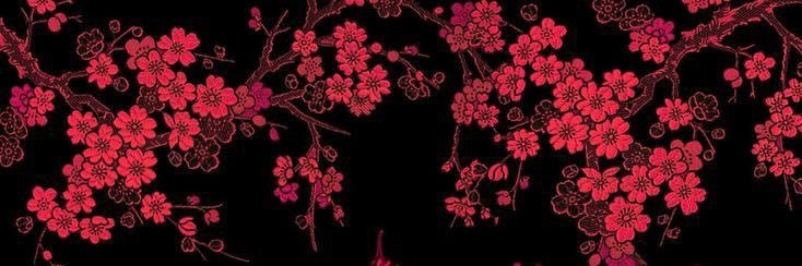 singette92's profile banner image