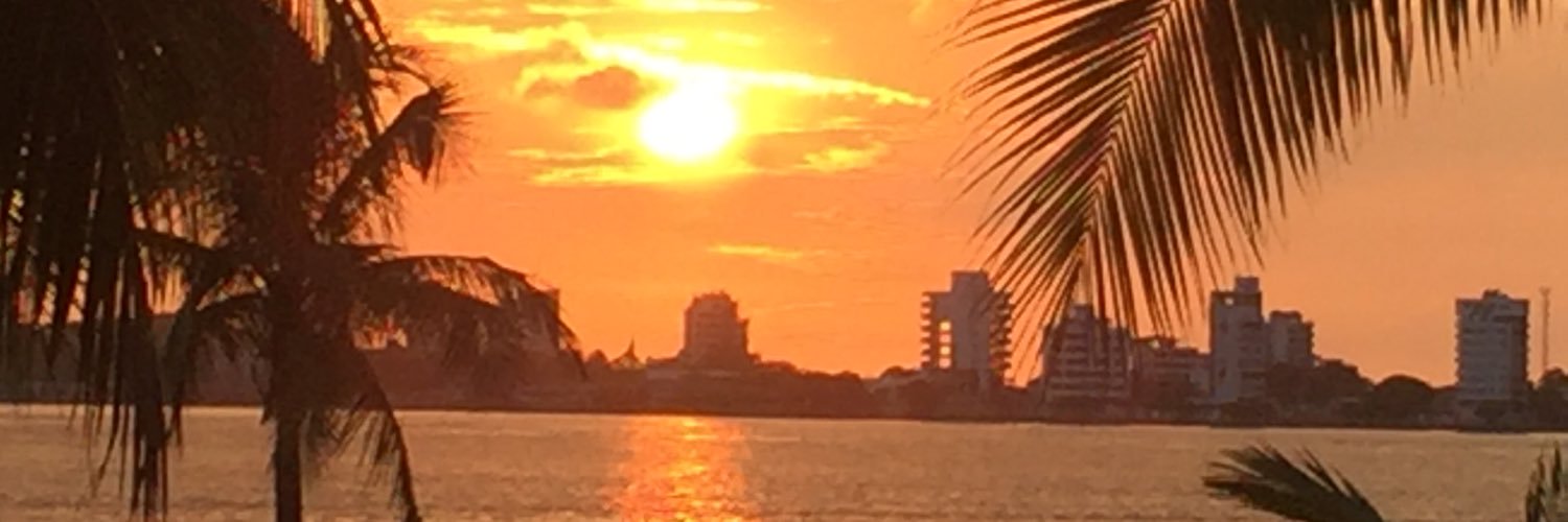 donatosq's profile banner image