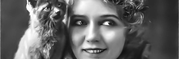 slusserc's profile banner image