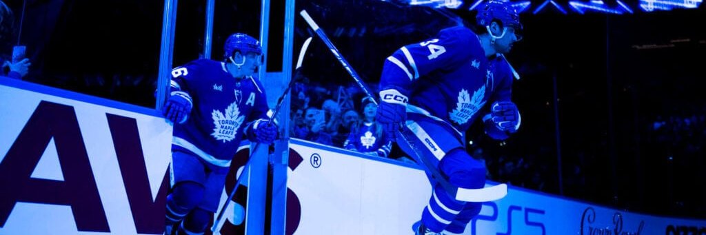 Maple Leafs Wave banner