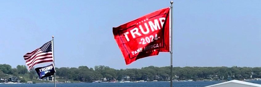 Lisa G. Wells's banner