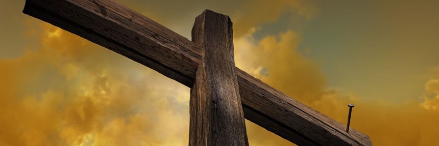 David5081960386's profile banner image