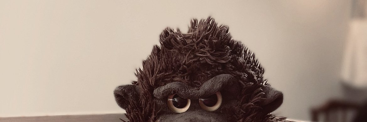 کامینگ🦩 banner