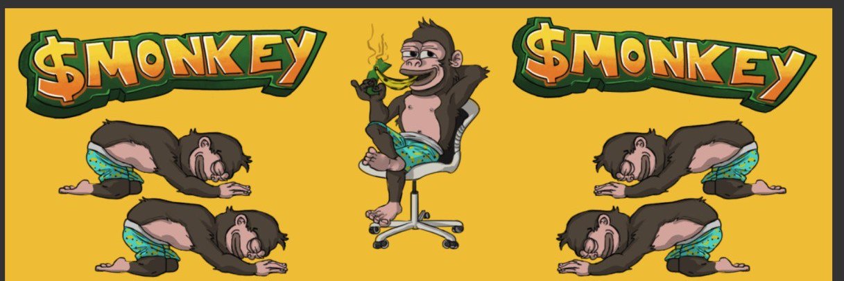 MonkeyOnSol banner