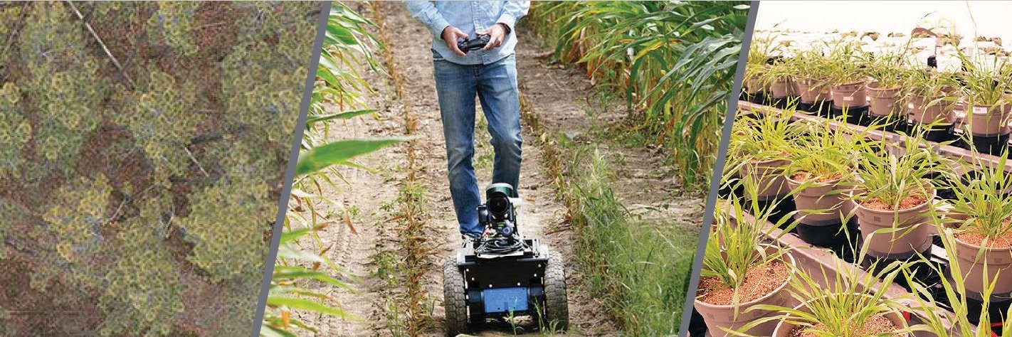 Purdue Digital Agriculture's banner