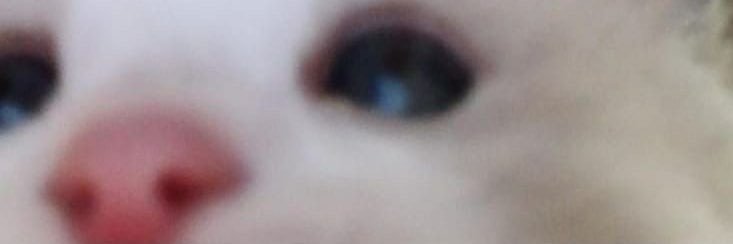 Yasin 👼🏻 banner