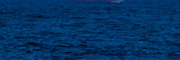 stan1214 Profile Banner