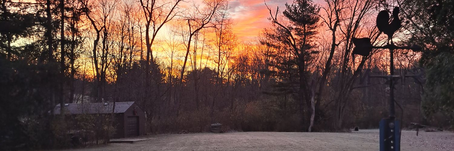 9th Infantry 🇺🇲 🗽⚾️ banner