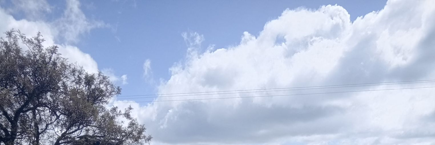 Geoffreykibe98's profile banner image