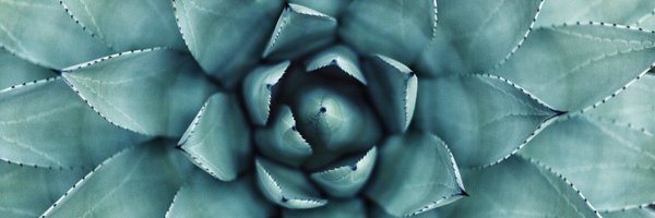 h_squared_pr Profile Banner