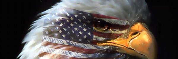 CHP_Willows Profile Banner